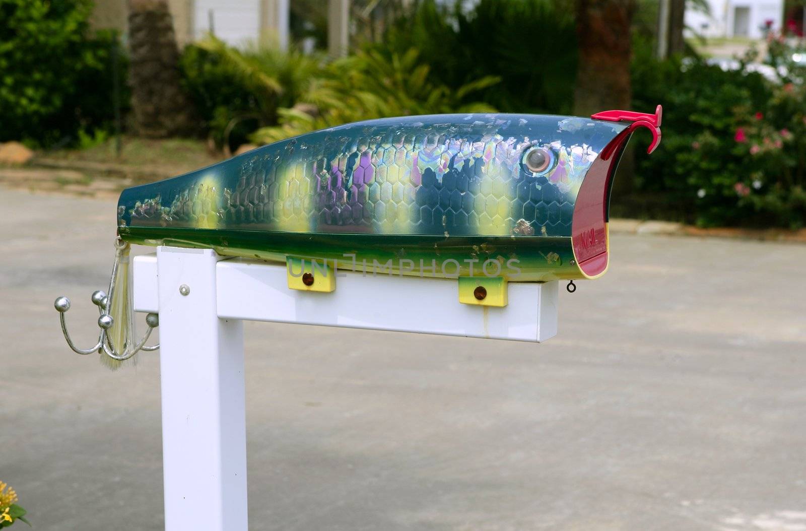 Fun artistic mail box with fish color and shape