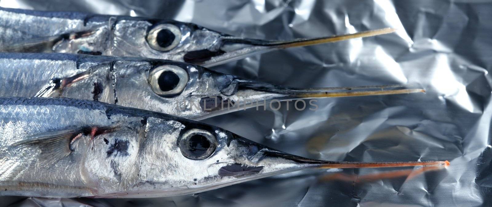 three little needle fish, uncooked macro studio shot
