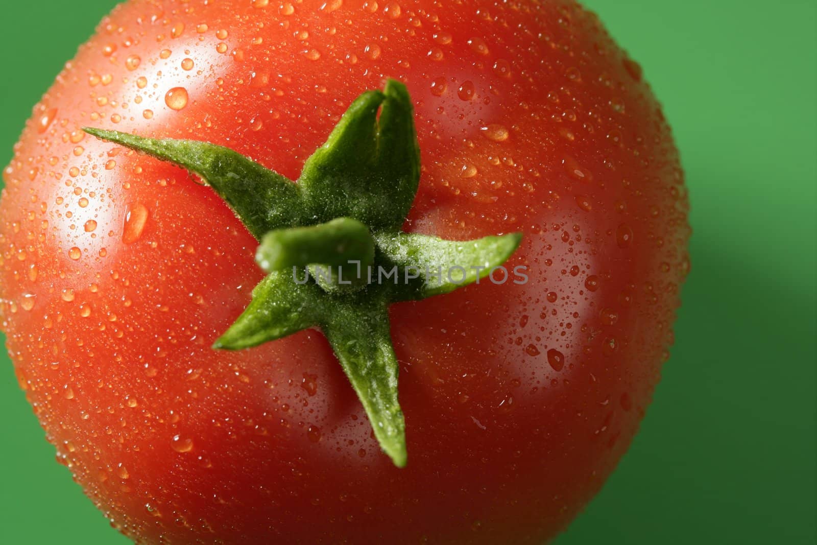 Red wet tomato macro over green background at studio
