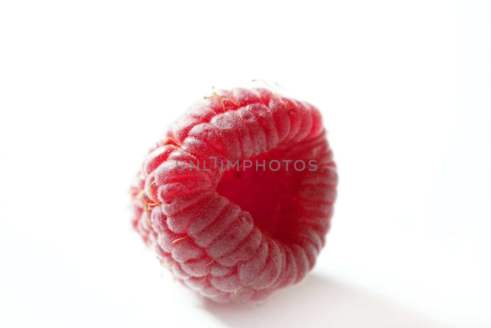 one red macro raspberry over white background studio shot