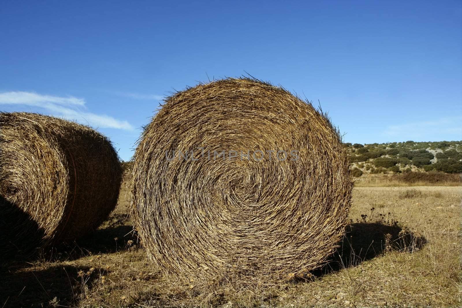 Yellow straw round bale in the fields, blue sky, Spain