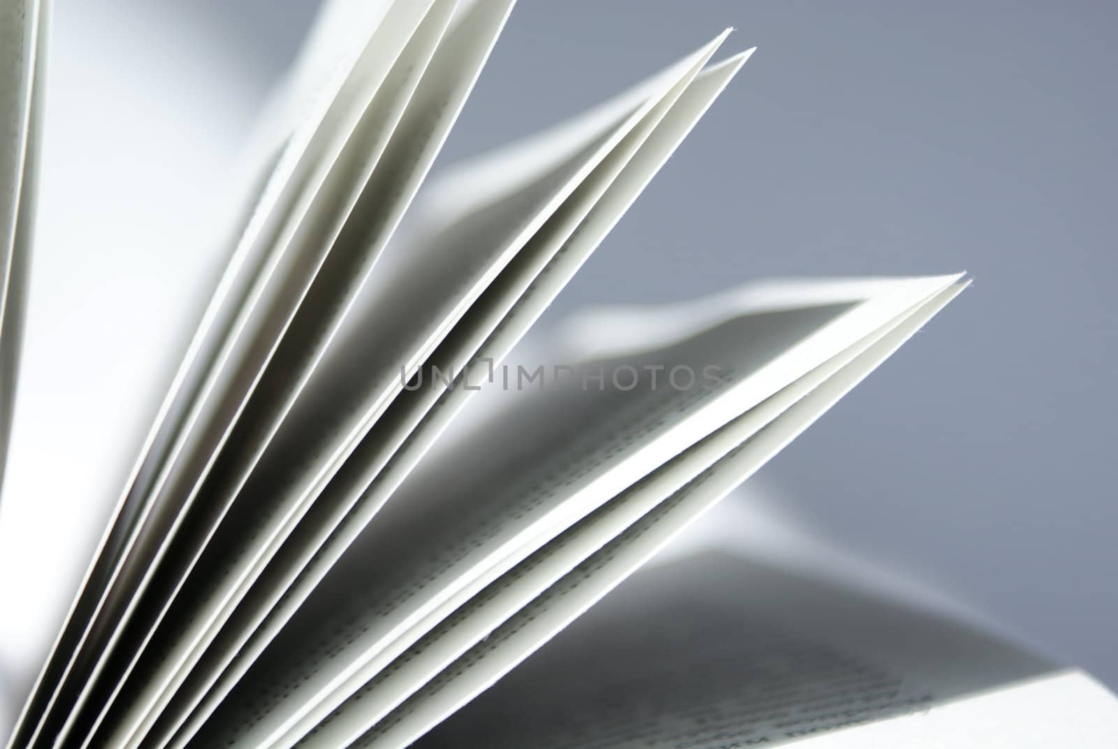 closeup of book pages on a white background