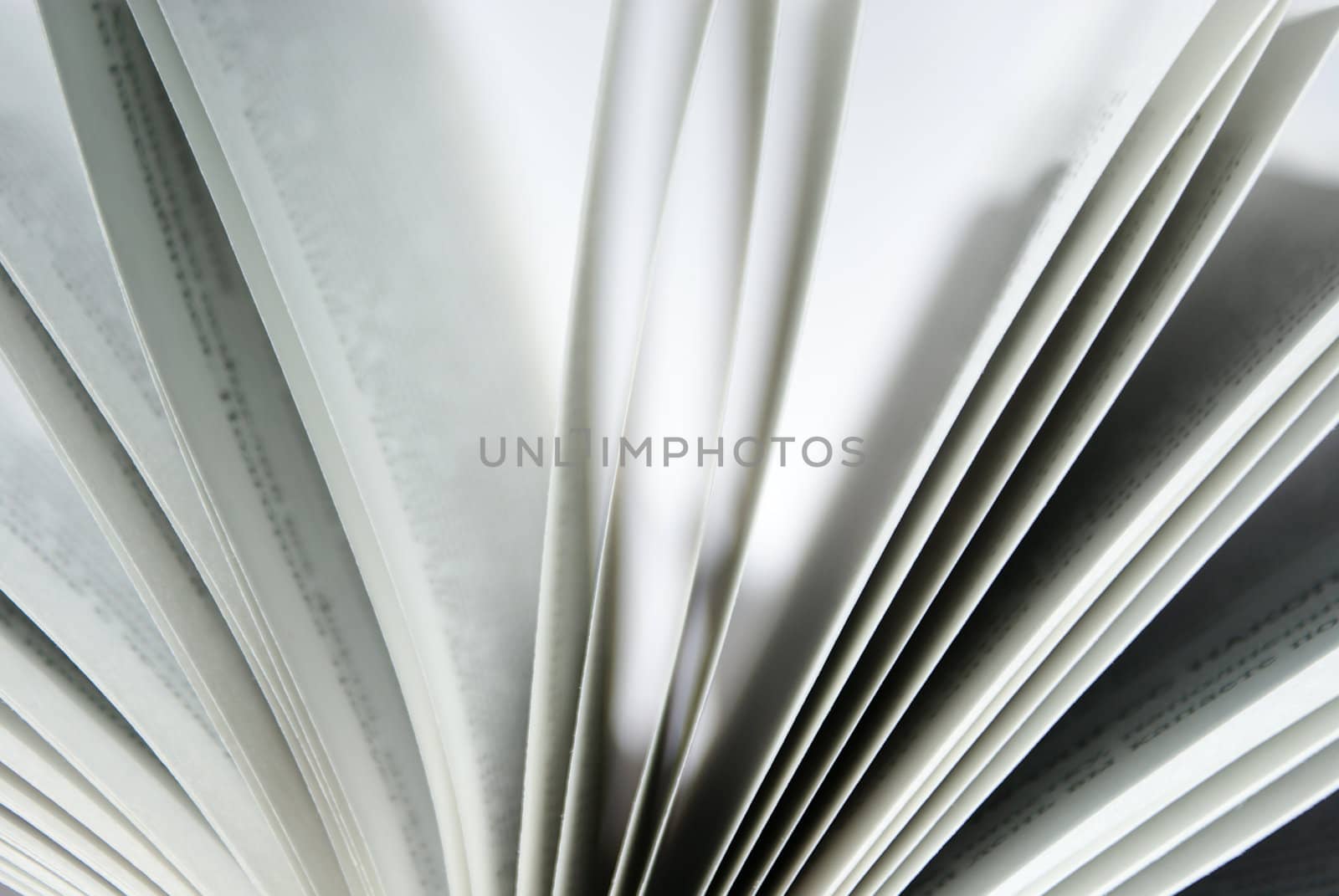 closeup of book pages on a white background