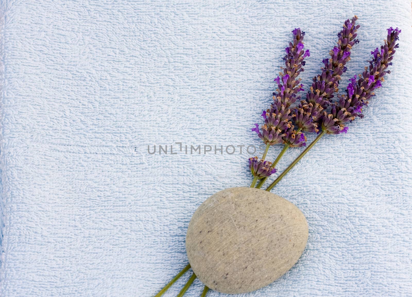 Calm spa concept with towel and lavender for relaxation properties
