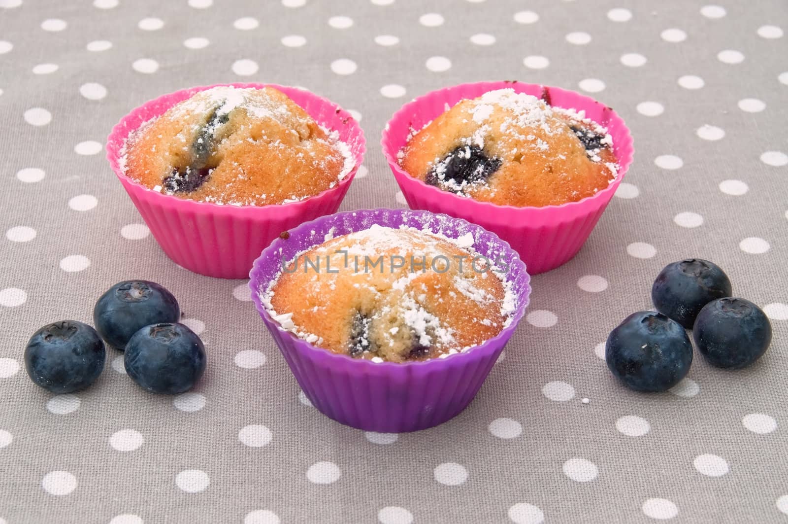 Blueberry muffins by GryT
