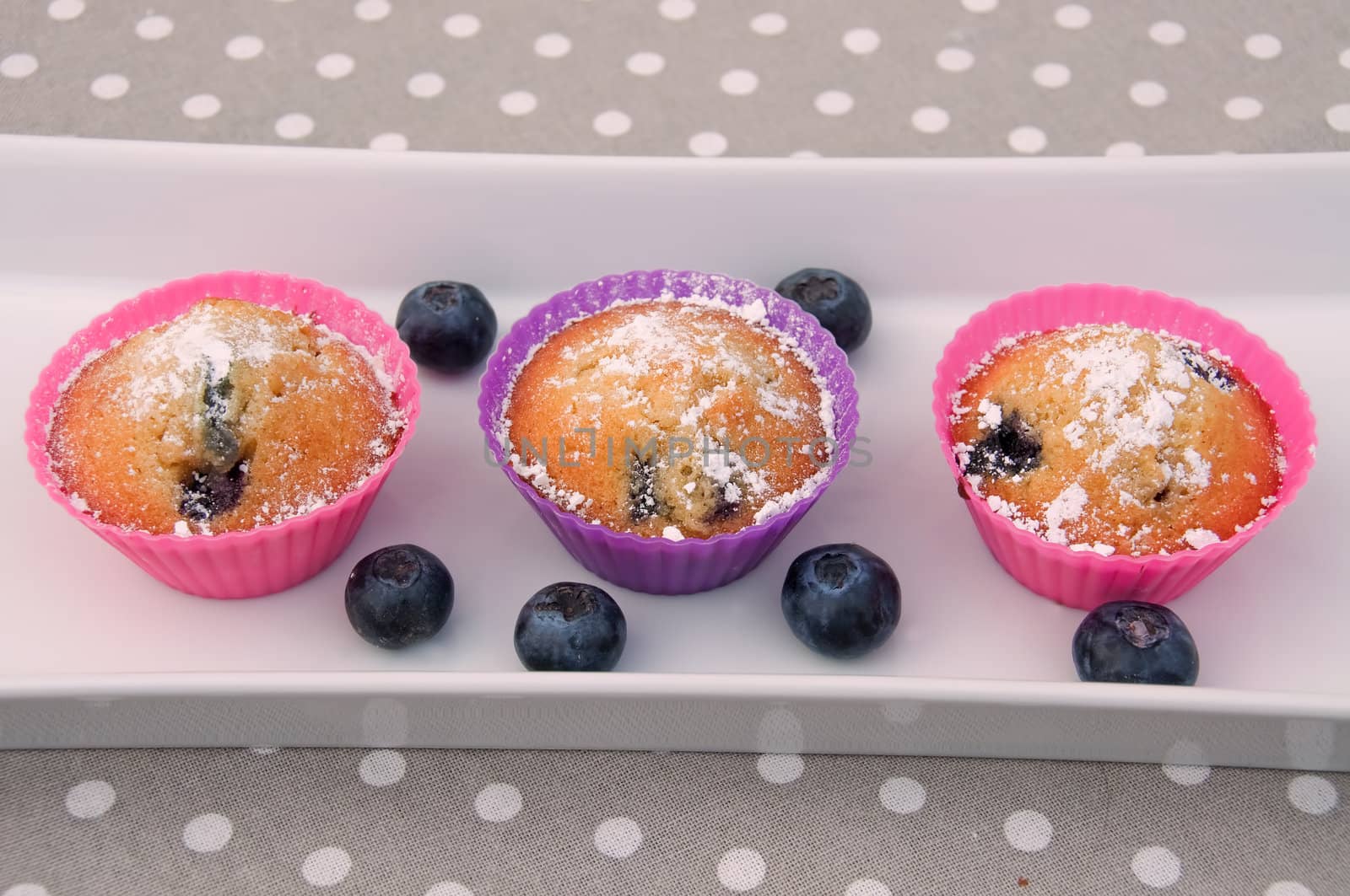 Bluberry muffins on a plate