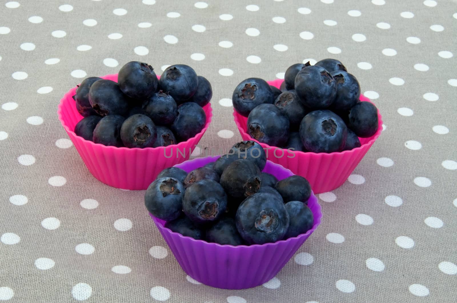 Muffin forms filled with blueberries