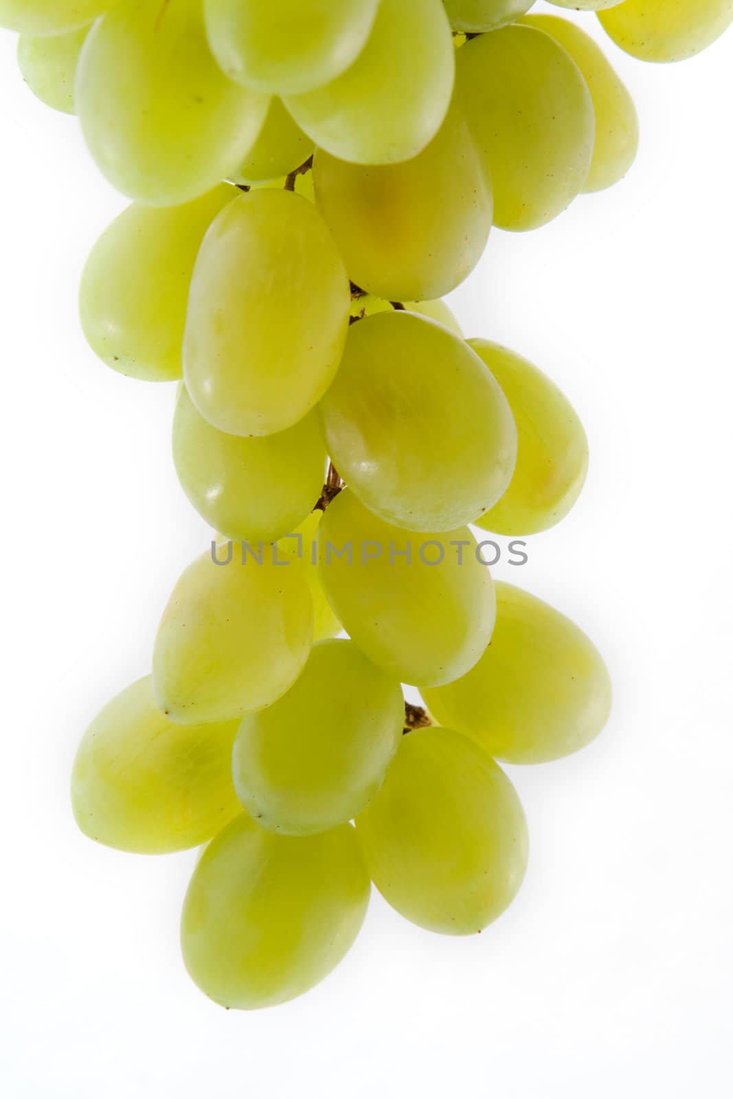 	
bunch of fresh green grapes on a white background