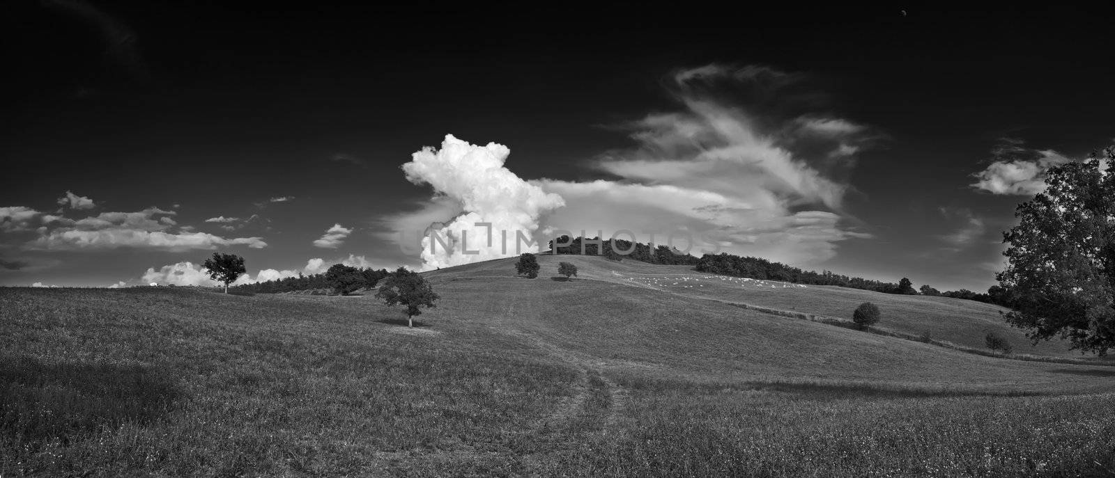 ITALY, tuscany, countryside near Pitigliano, black&white, B/W