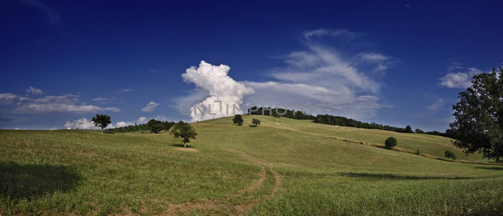 ITALY, tuscany, countryside near Pitigliano