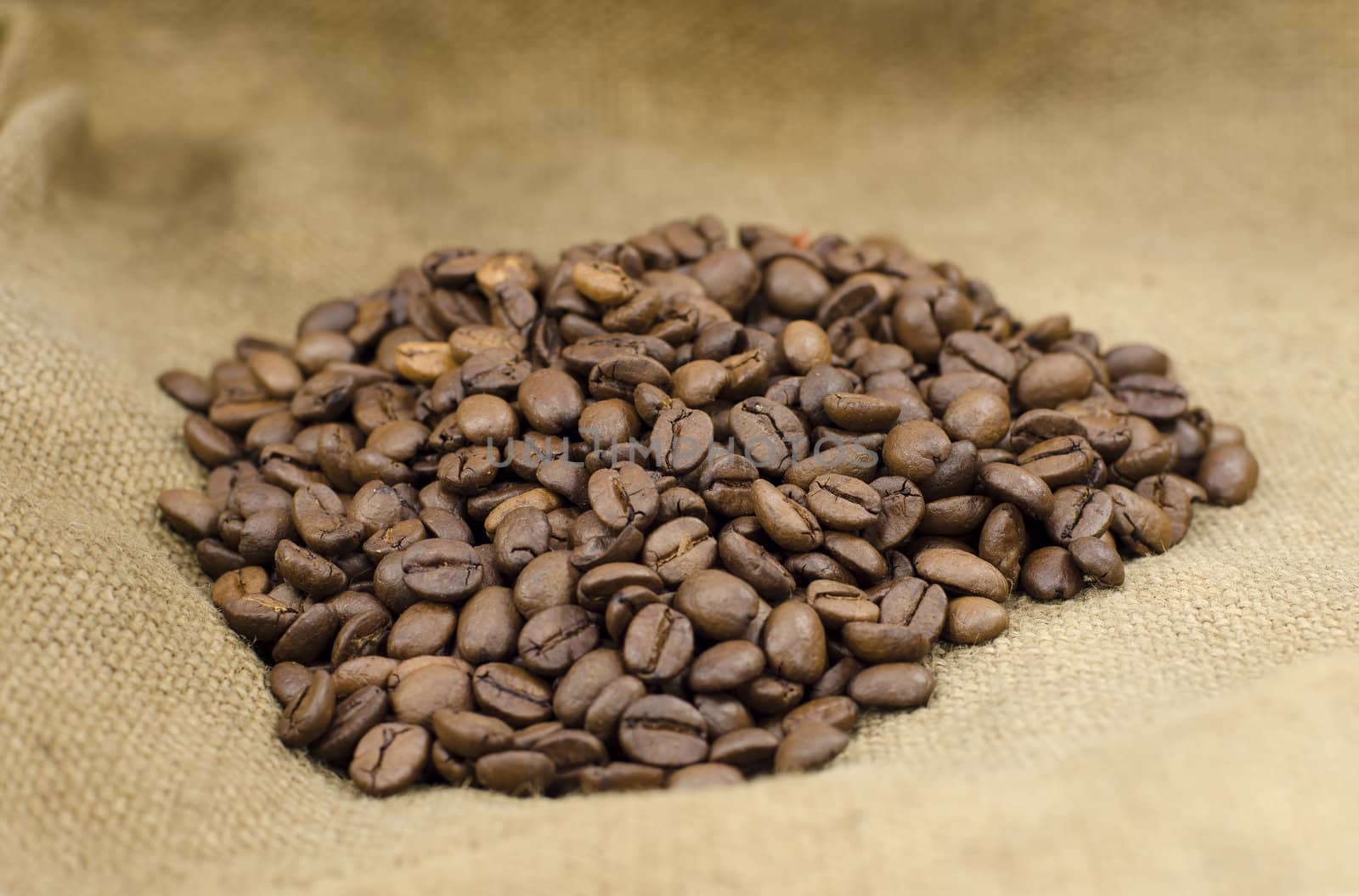 coffee beans by gufoto