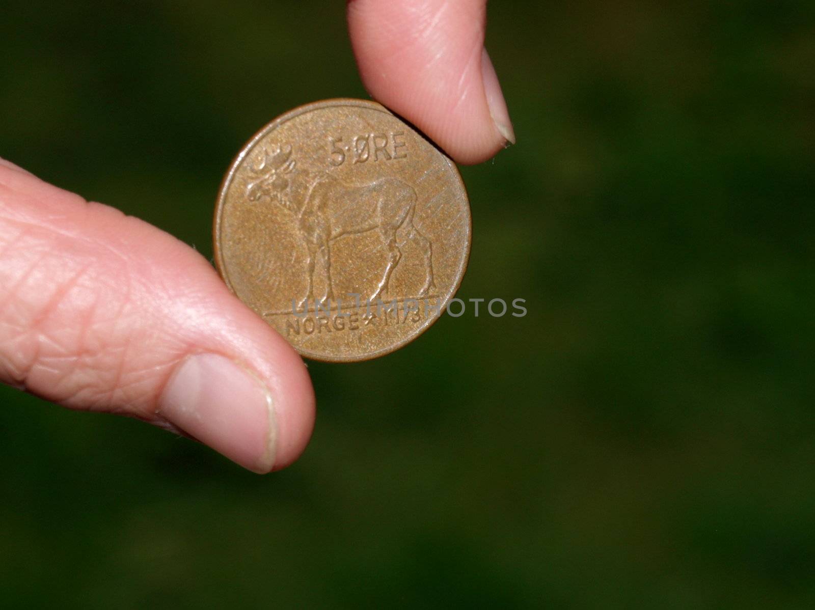 old norwegian coin by viviolsen
