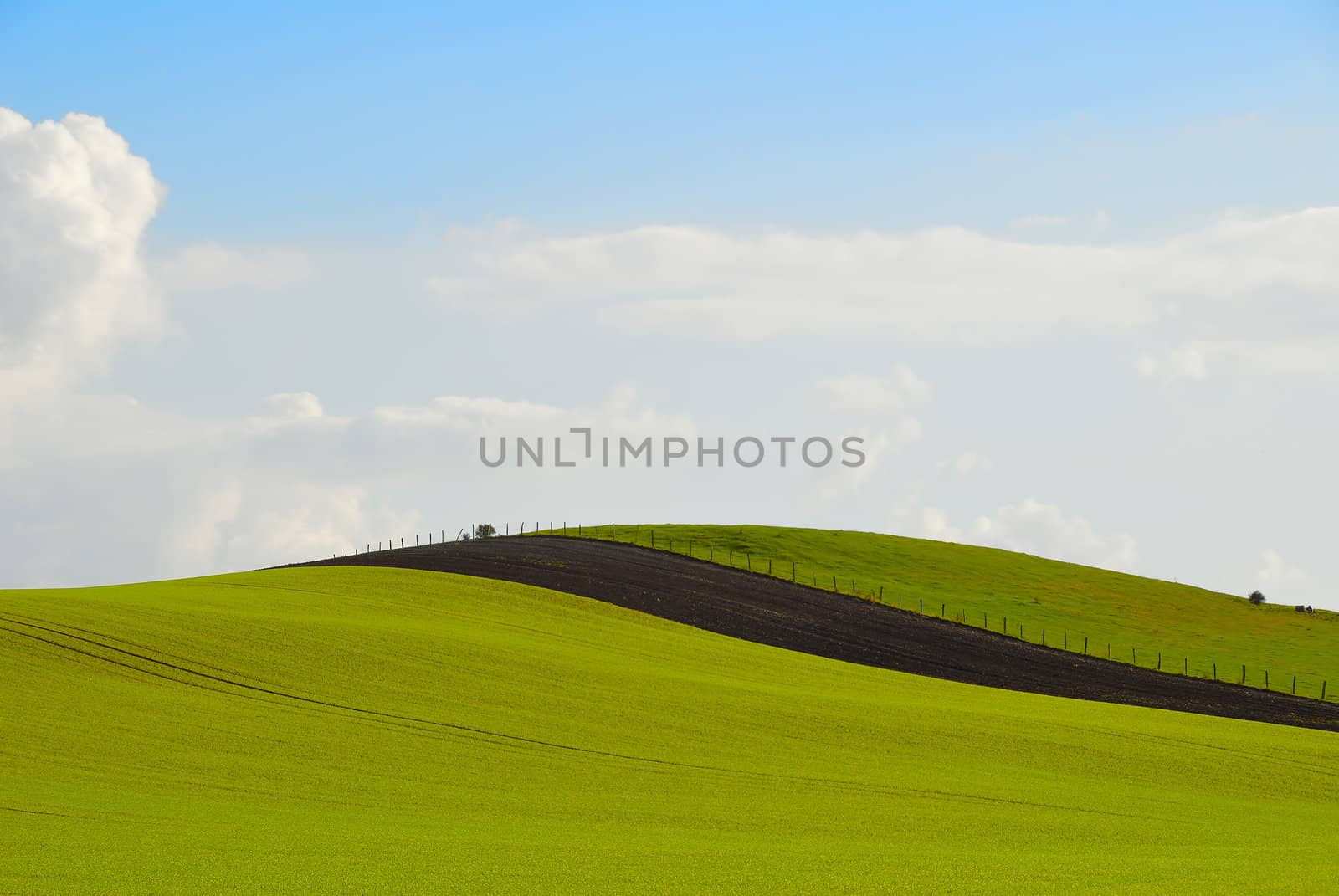 green hill by gufoto