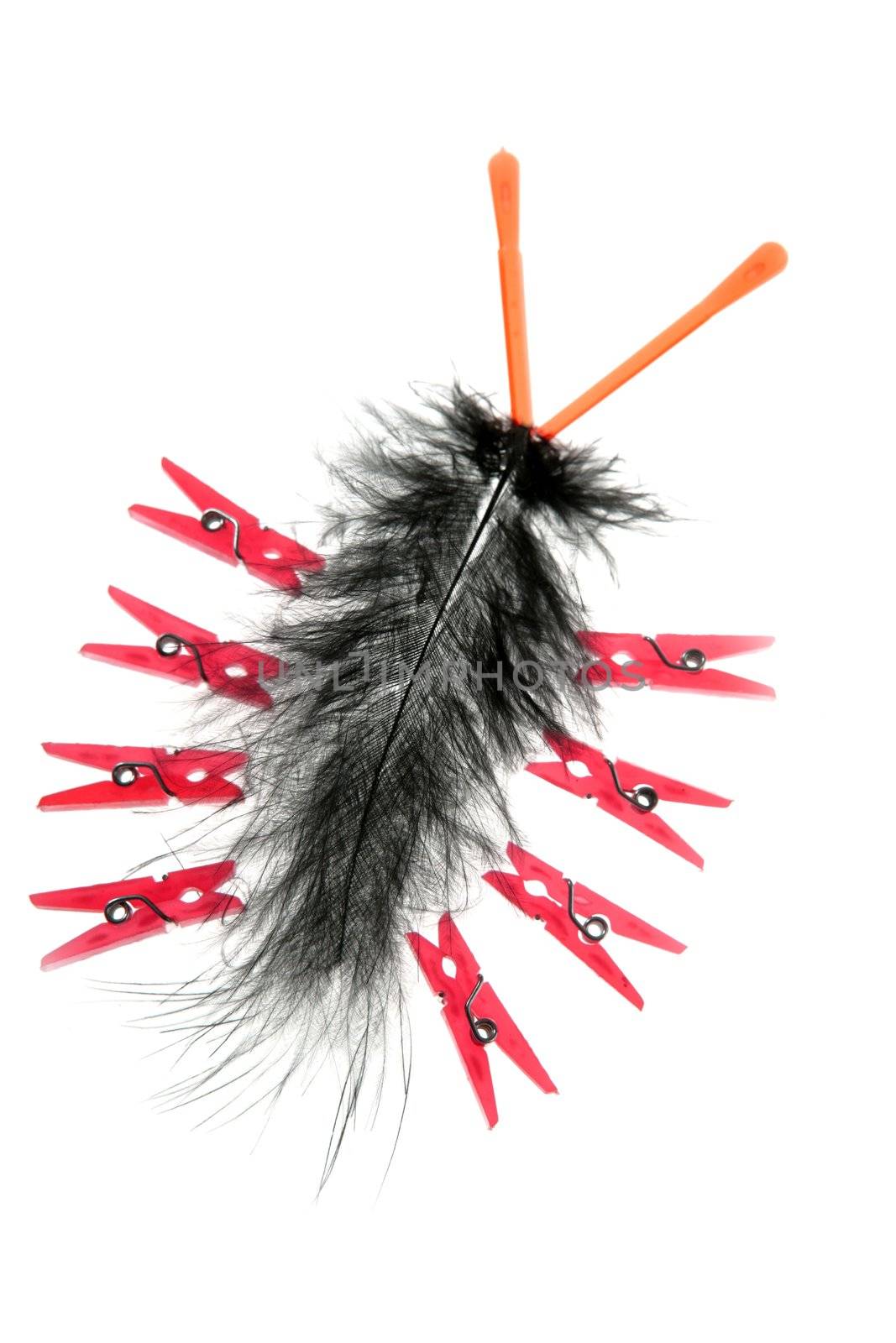 funny bug made of clothes pin and feather by lunamarina