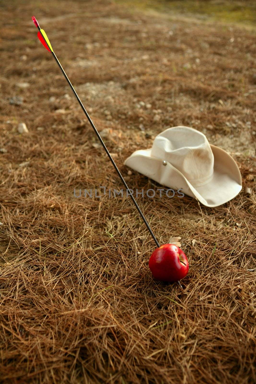 William tell metaphor with red apple and arrow in the forest