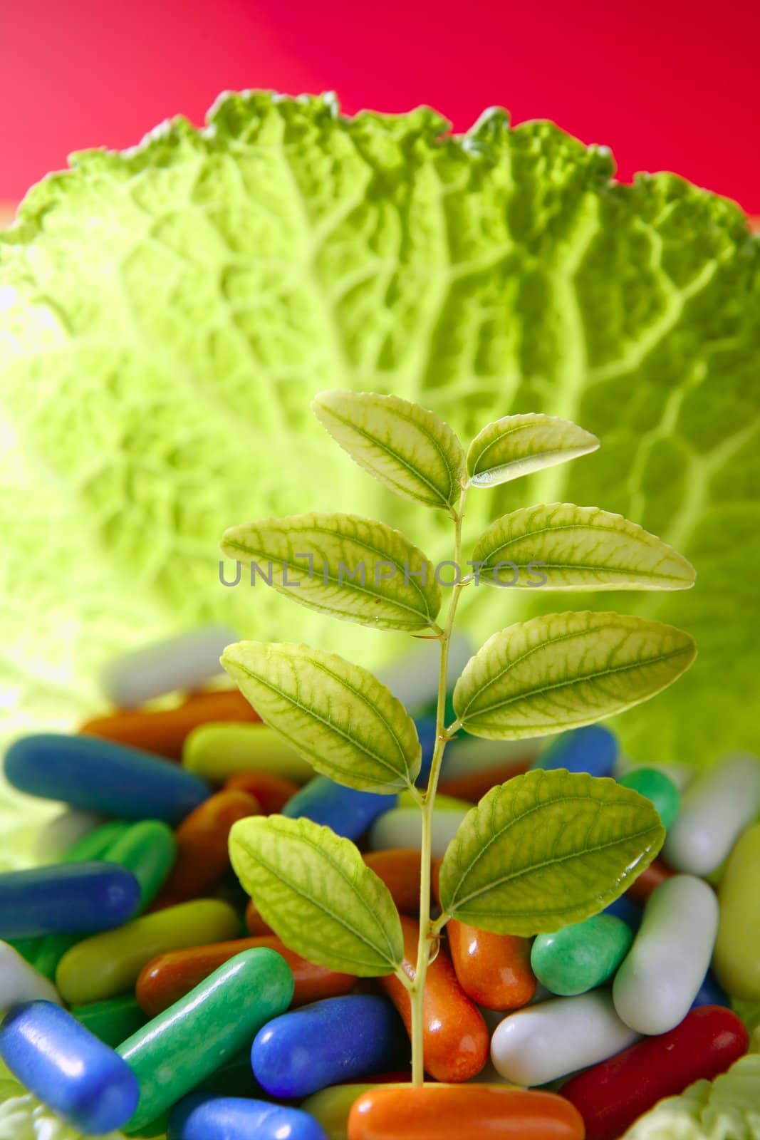 Abstract metaphor of green outbreak growing in cabbage leaf on candy floor