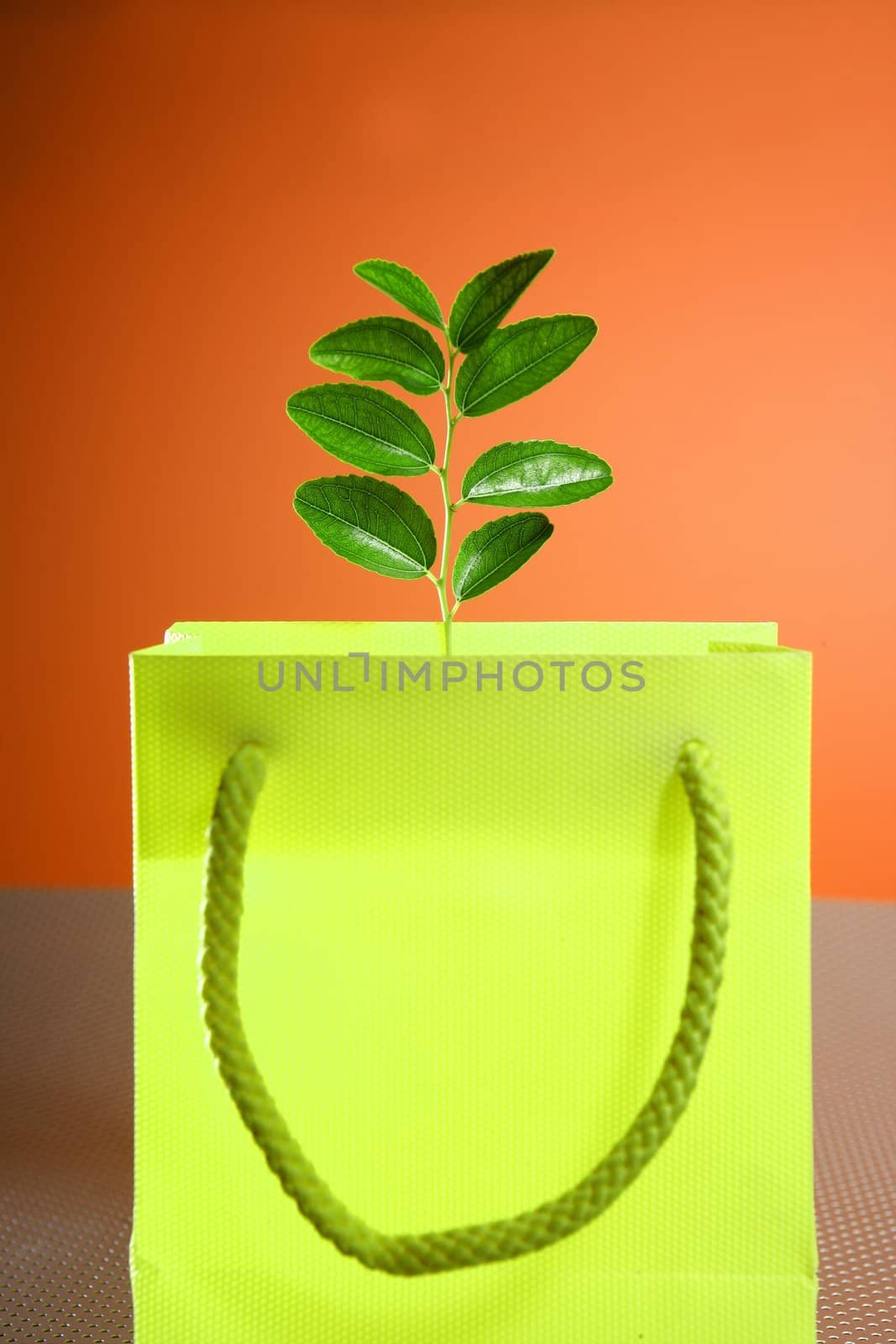 Environment conservation versus consumerism, shopping bag and plant