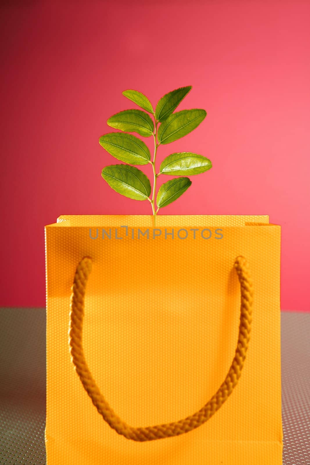 Environment conservation versus consumerism, shopping bag and plant