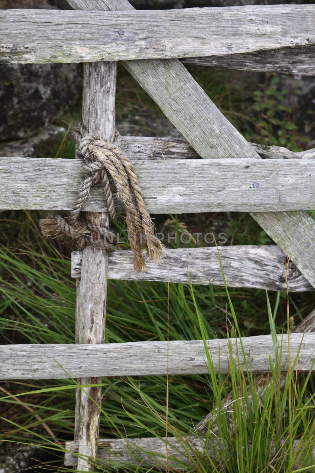 An old hand made whittle gate tied to the end of another with twine or rope. Set against a stone wall with green grass growing around.