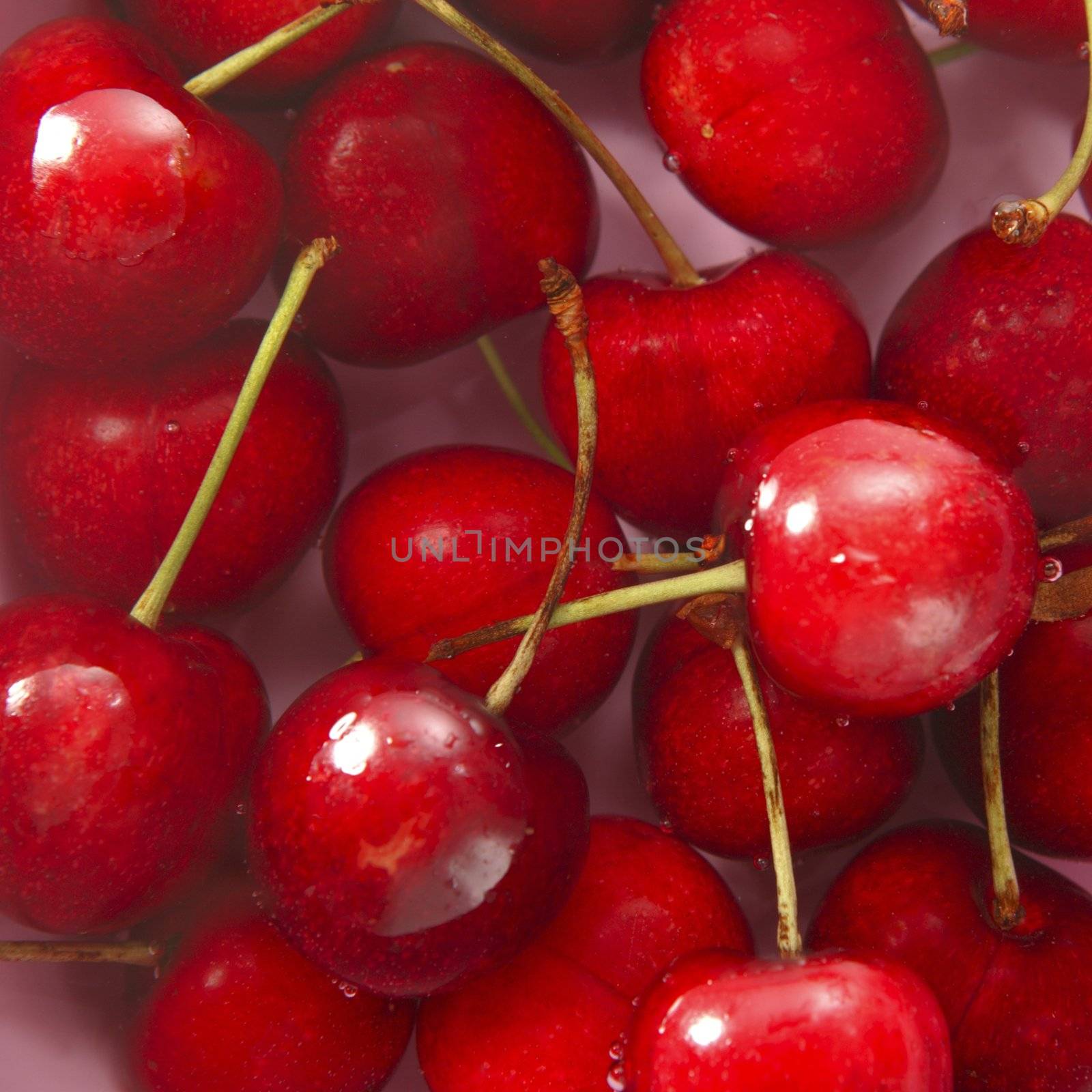 cherry red fruits square macro on water, texture background crop