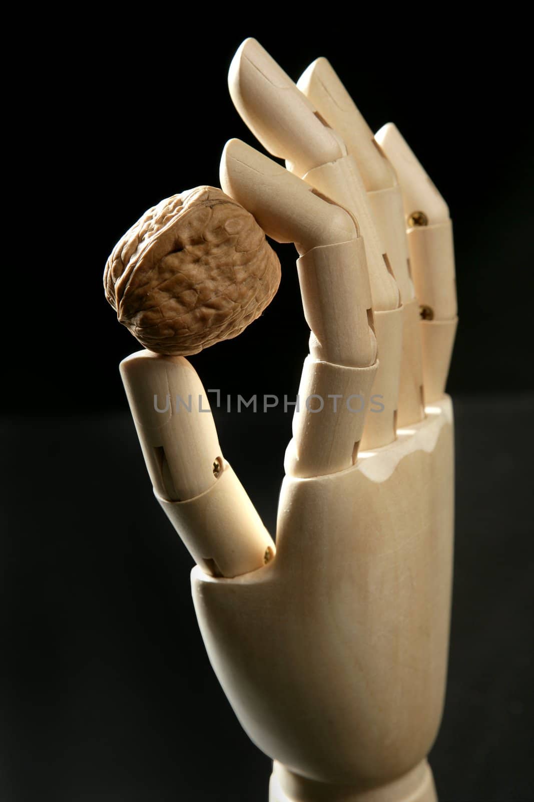 Mannequin wooden hand holding one walnut withy two fingers