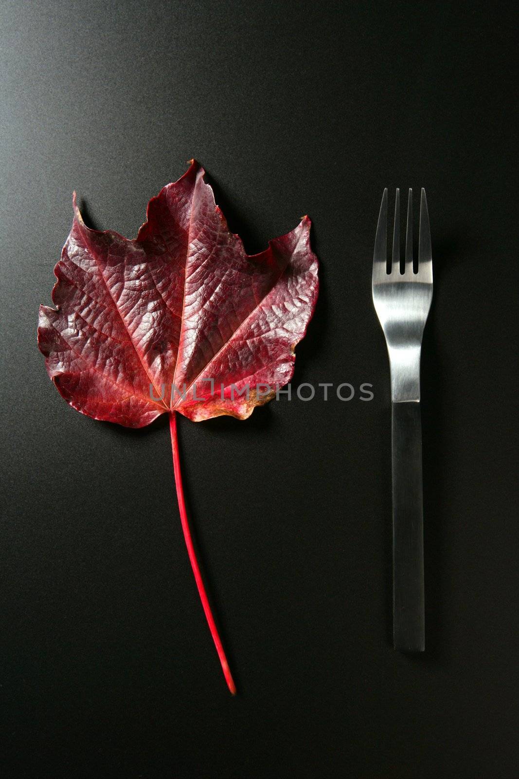 Metaphor, healthy diet low calories vegetarian meal in a dish, a leaf