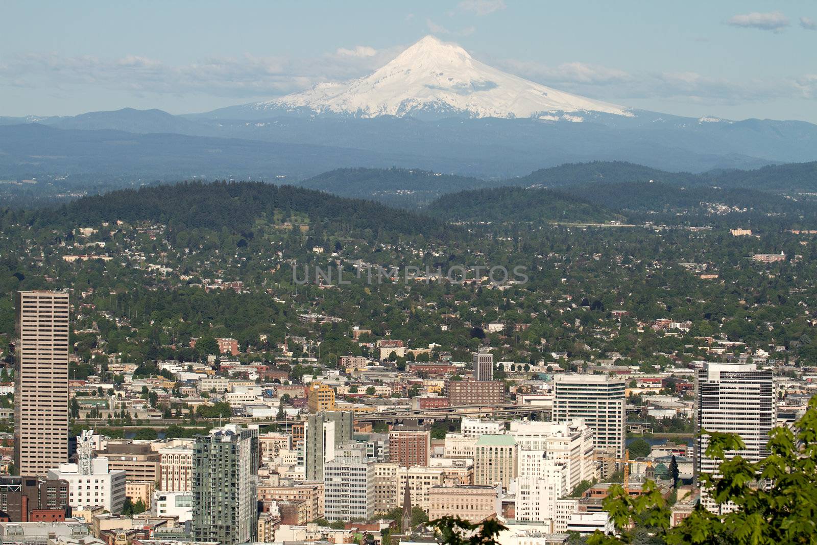 Portland Oregon Cityscape with Mount Hood by Davidgn