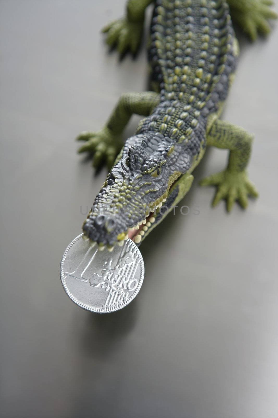 Toy plastic cocodrile, aligator with euro money in its sharped theet jaws metaphor