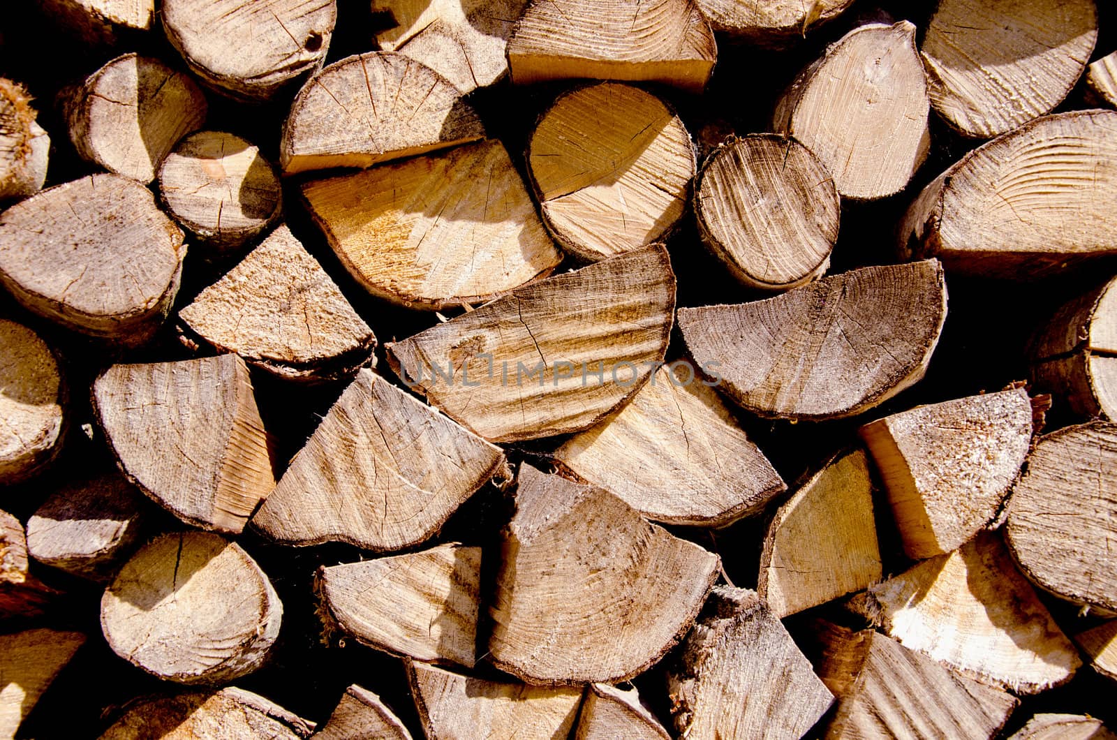 Firewood. by sauletas