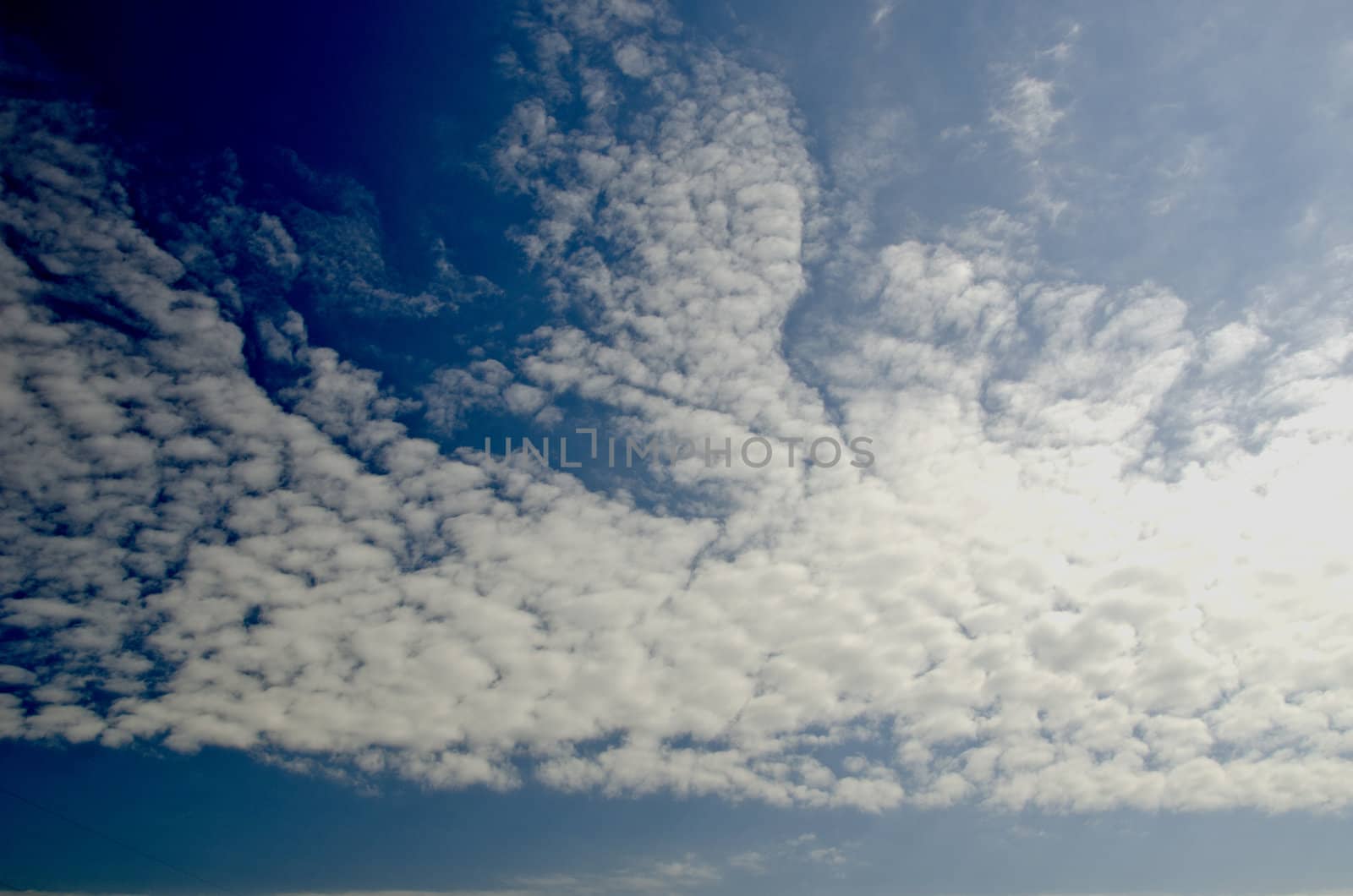 Background of sky full of cumulus clouds.