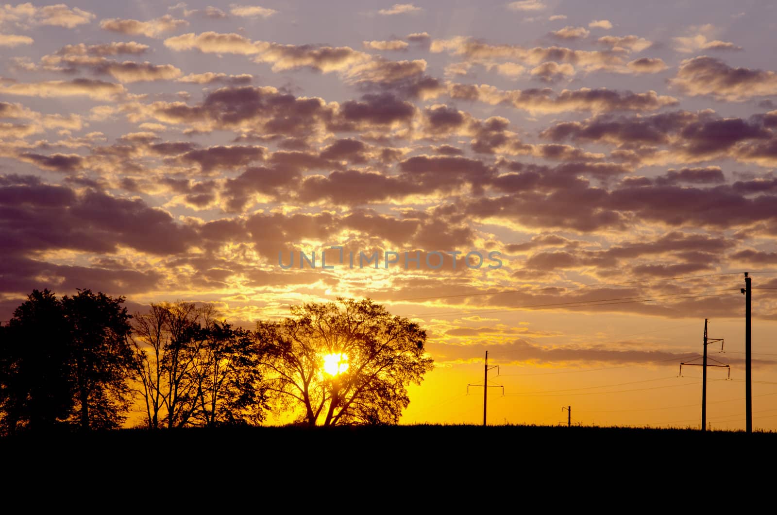 Sun hiding over the trees. Electric wires and poles in sunrise view.