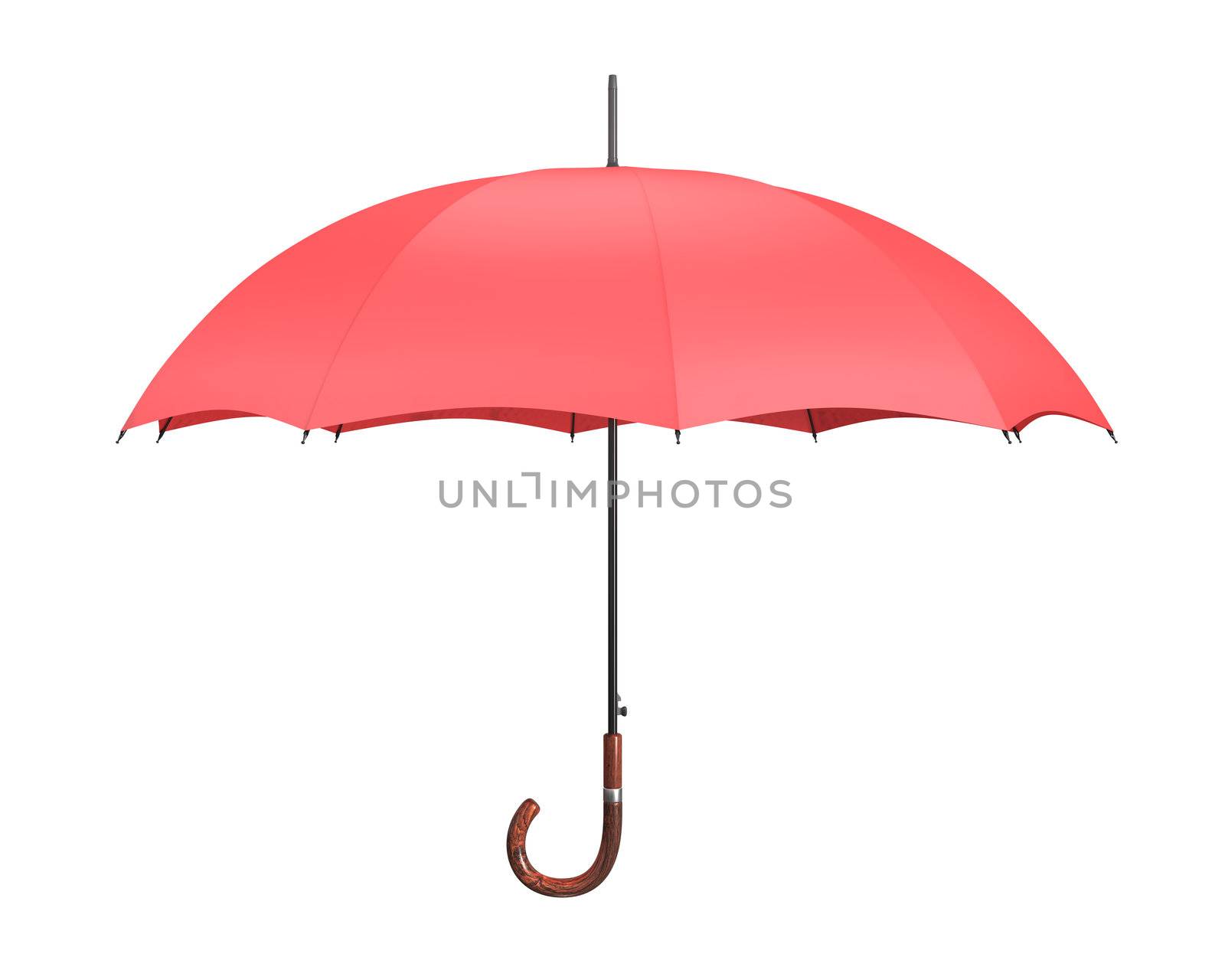 Open Umbrella (Isolated)