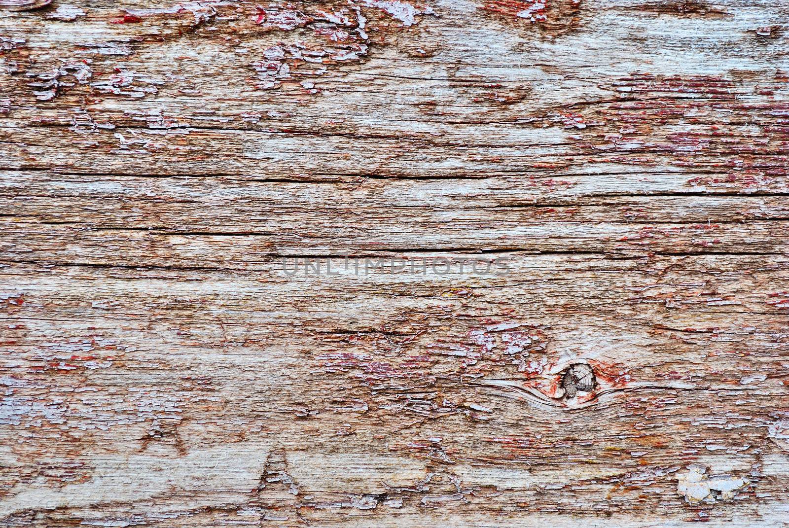 texture of the old spoiled wood damaged by woodworm