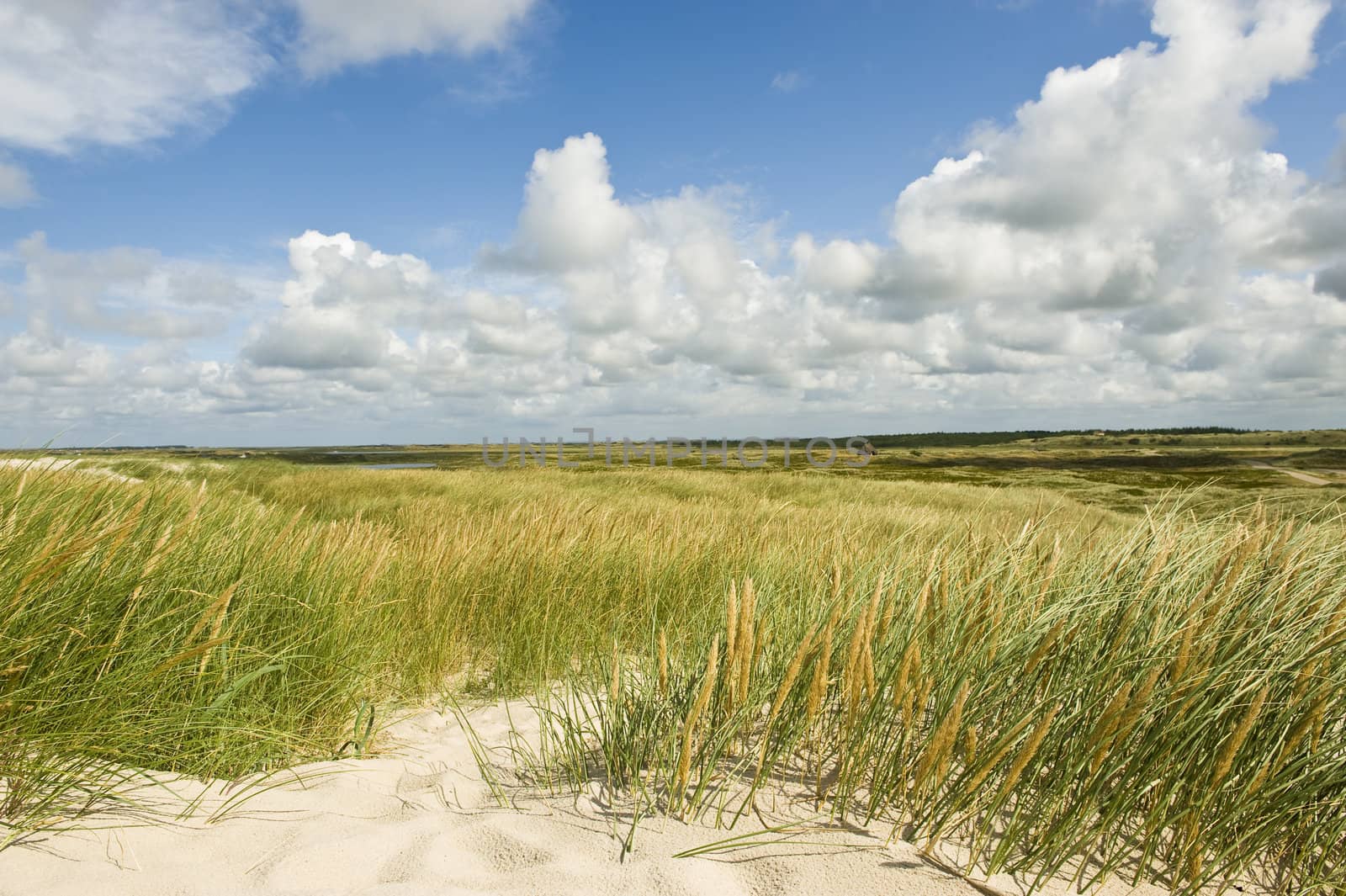 Typical danish landscape by the coast