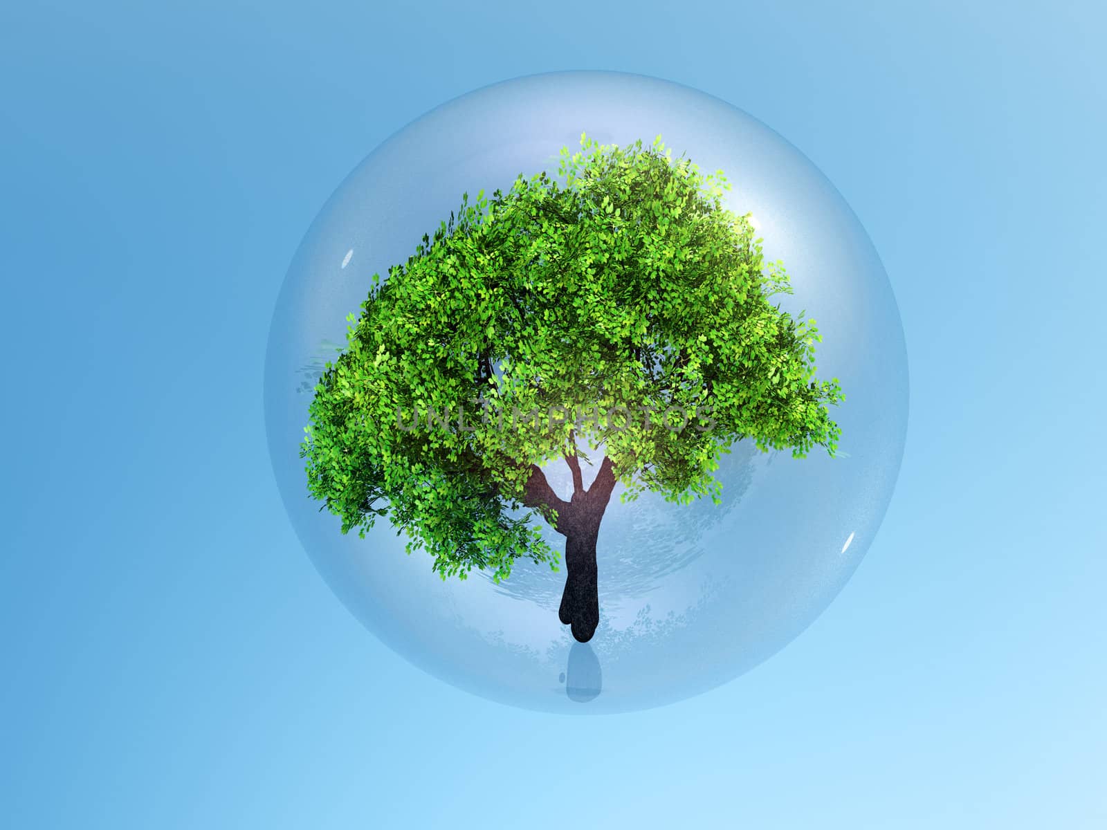 a tree in a bubble by gufoto