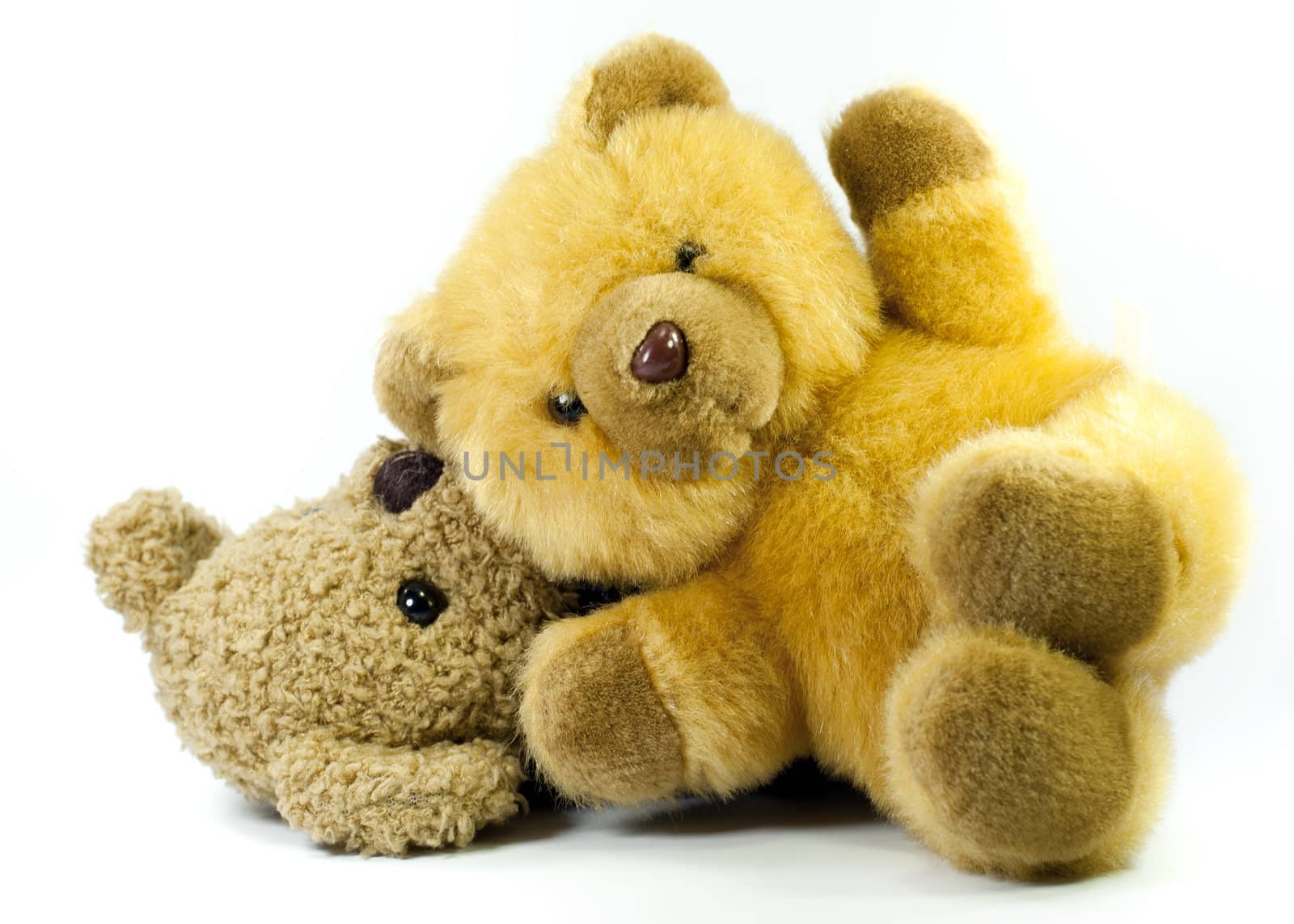 two teddybear by gufoto