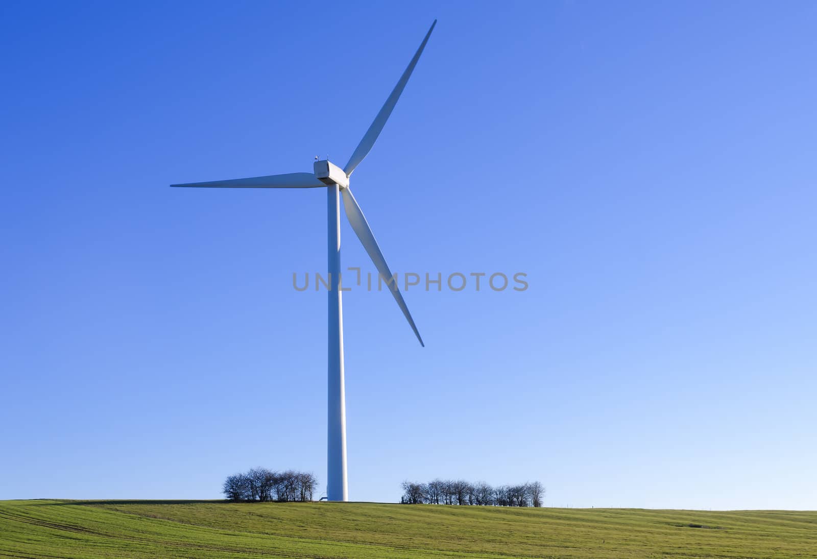 wind turbine