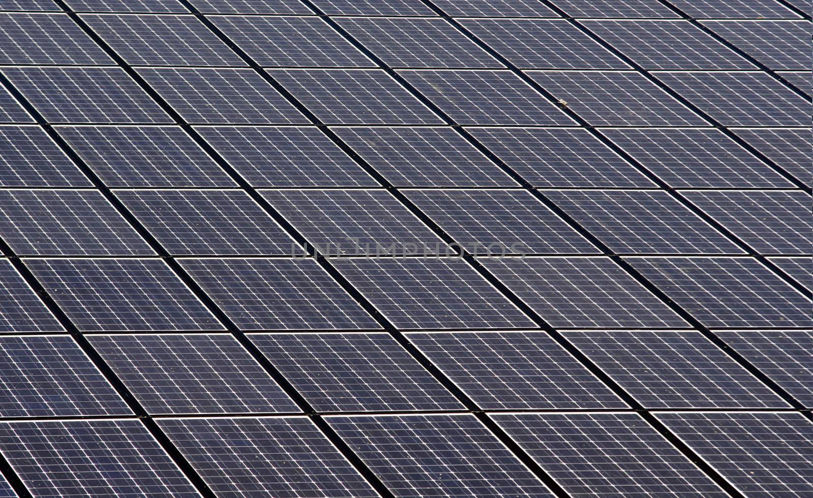 solar panels by gufoto