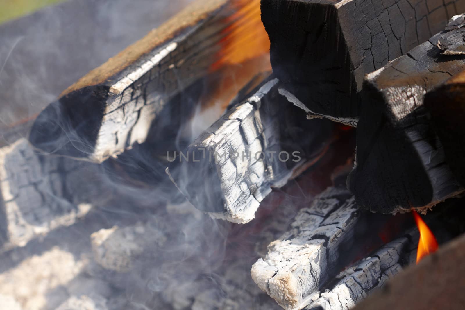 Barbecue fire waiting meats by Nikonas