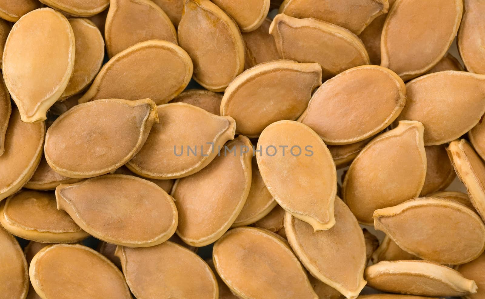 Macro shot of a group of pumpkin seeds.