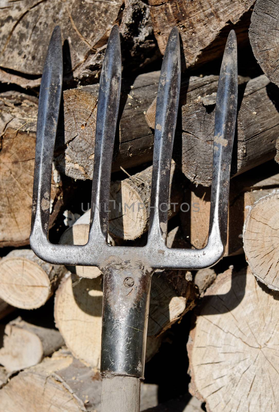 a manure fork