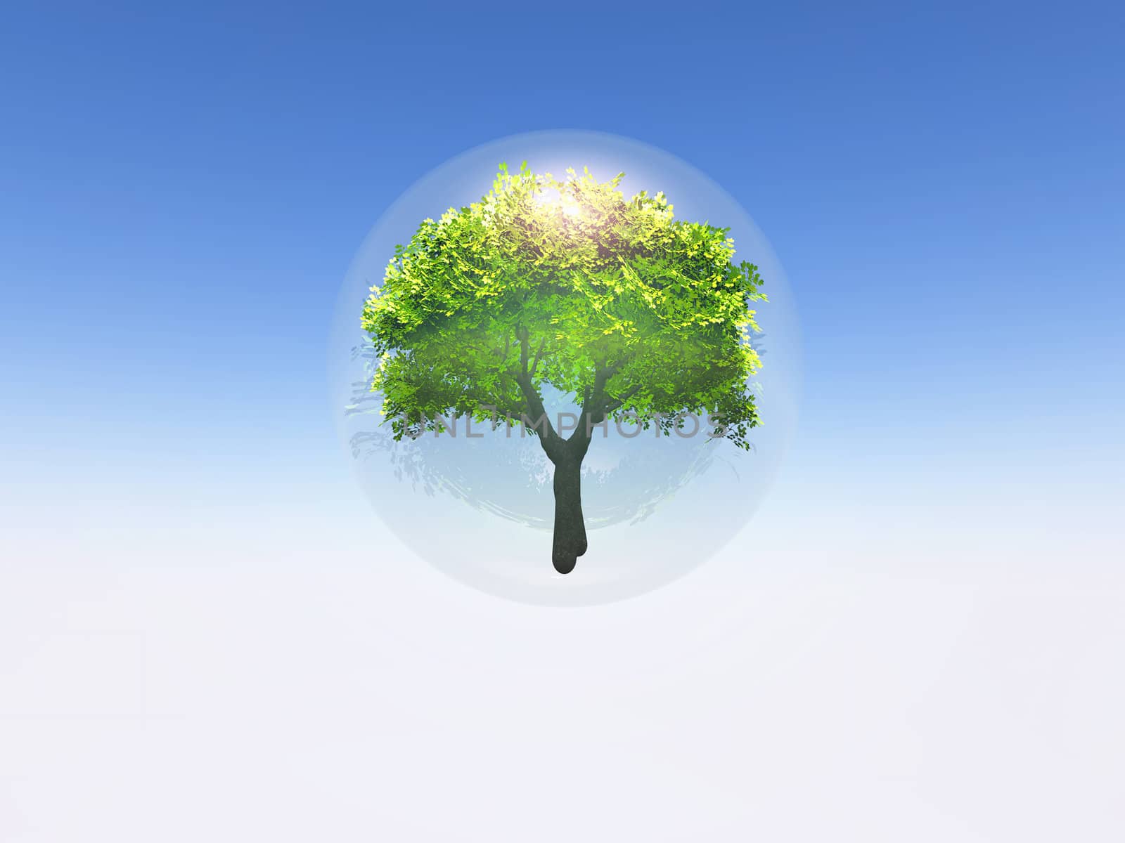 3 d illustration of tree in a bubble