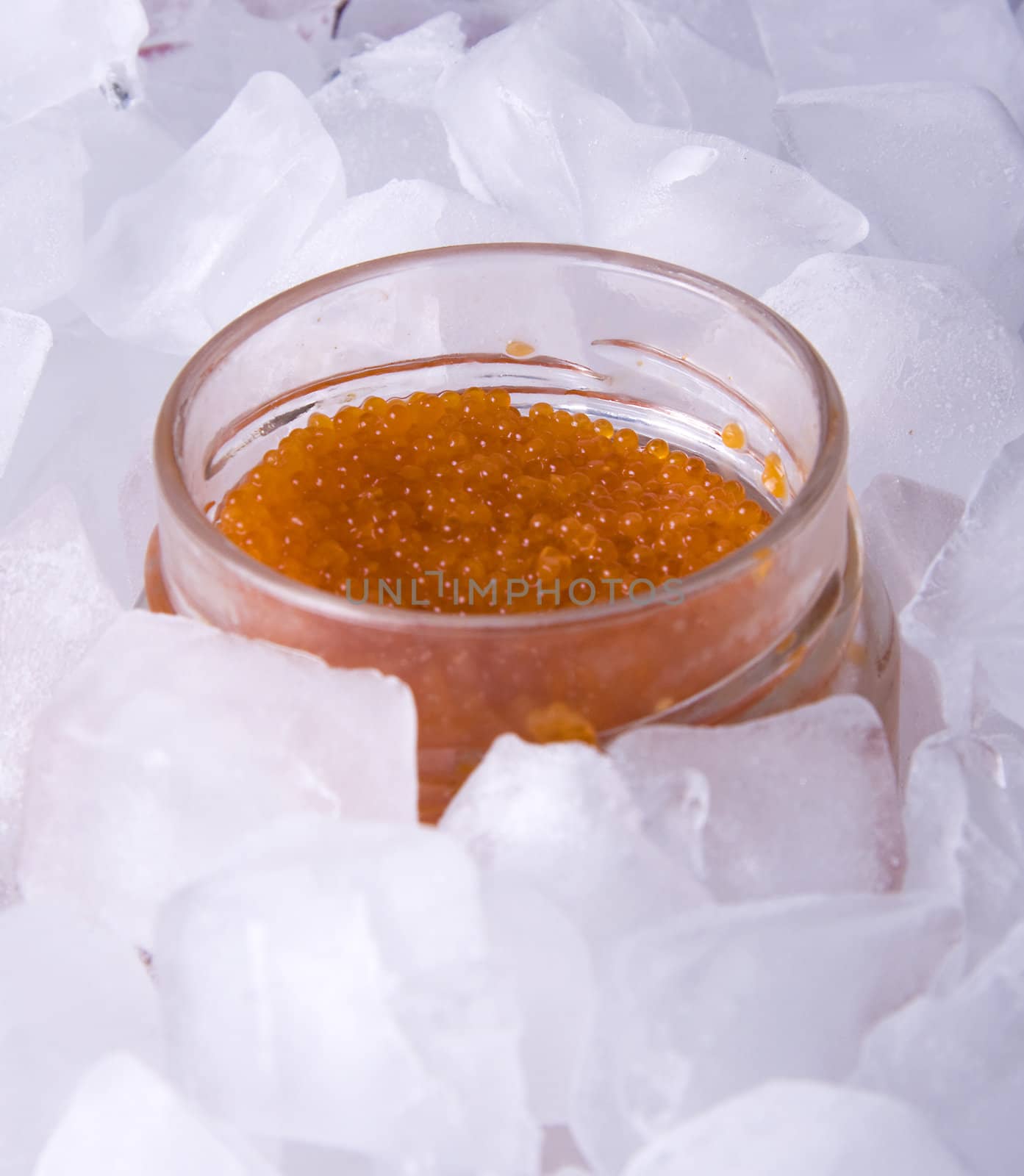 Red caviar in a glass jar surrounded by ice cubes