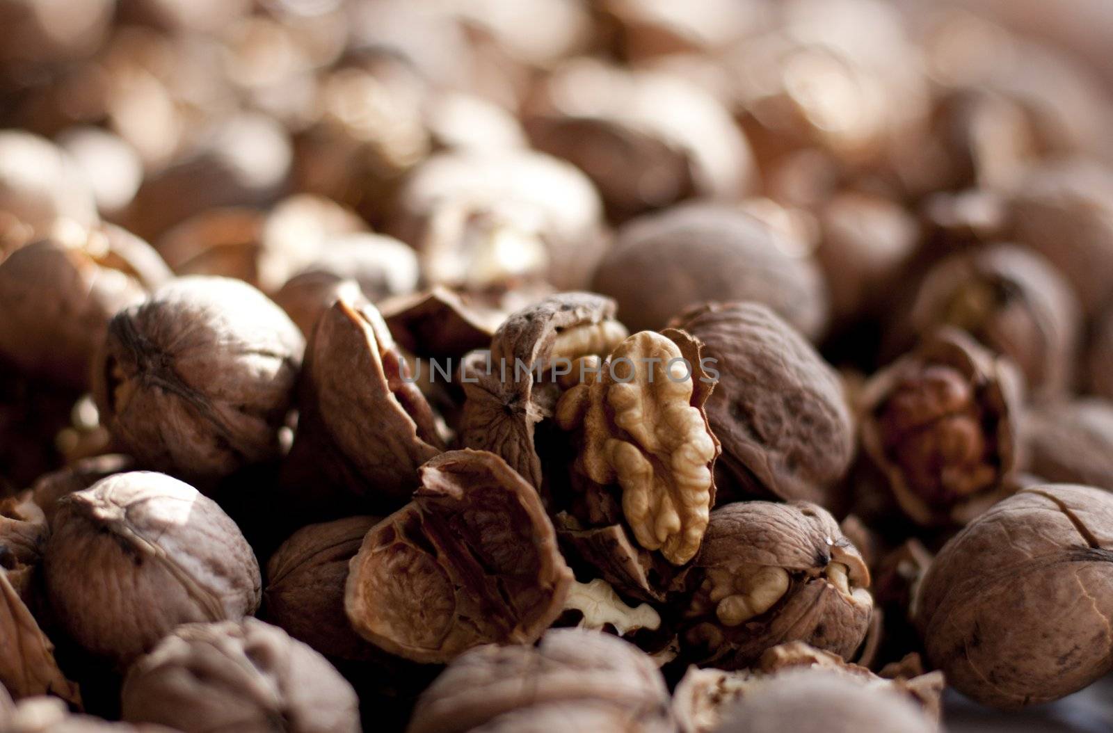 Gallon crushed almost ready to consume walnuts