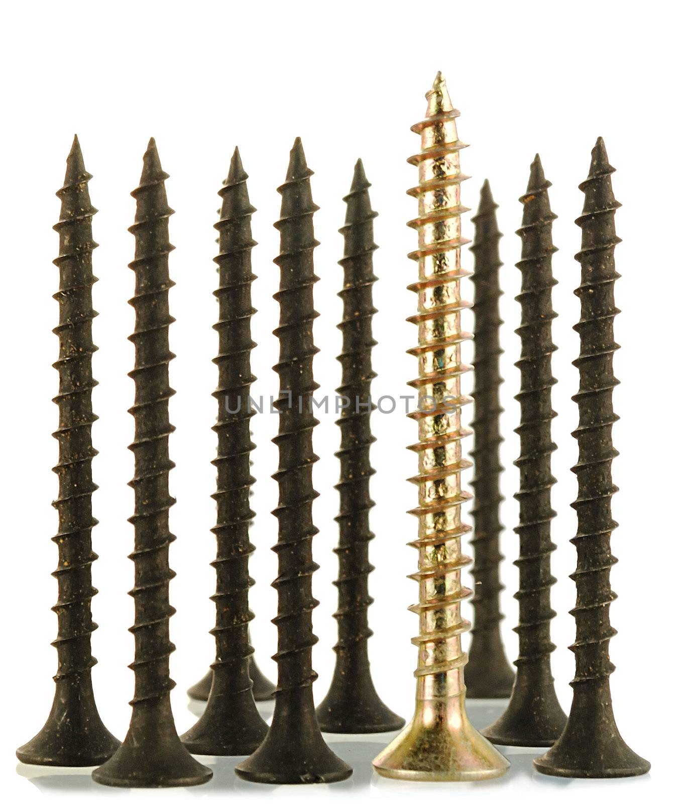 group of black screws and one brass angled screw