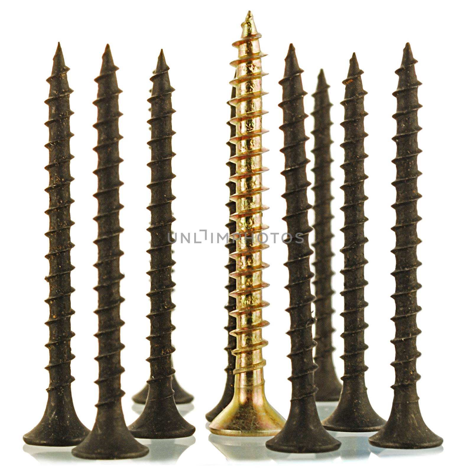 group of black screws and one brass angled screw