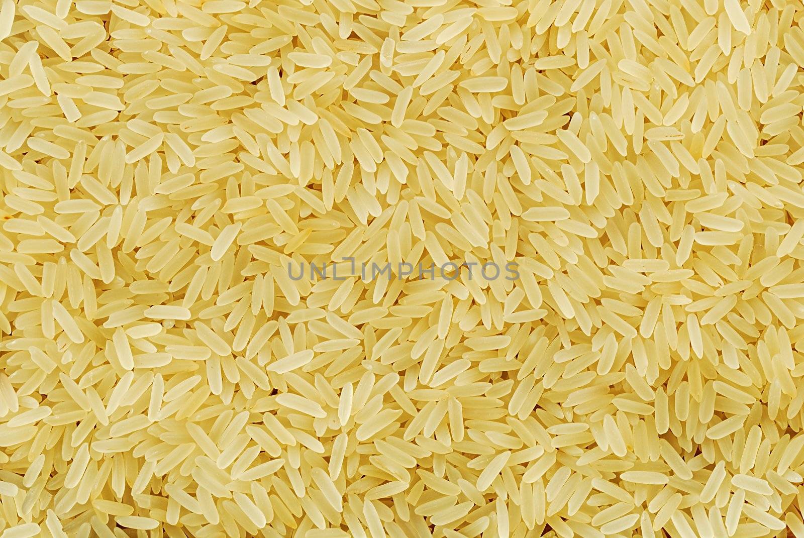 texture from grains of rice, closeup background