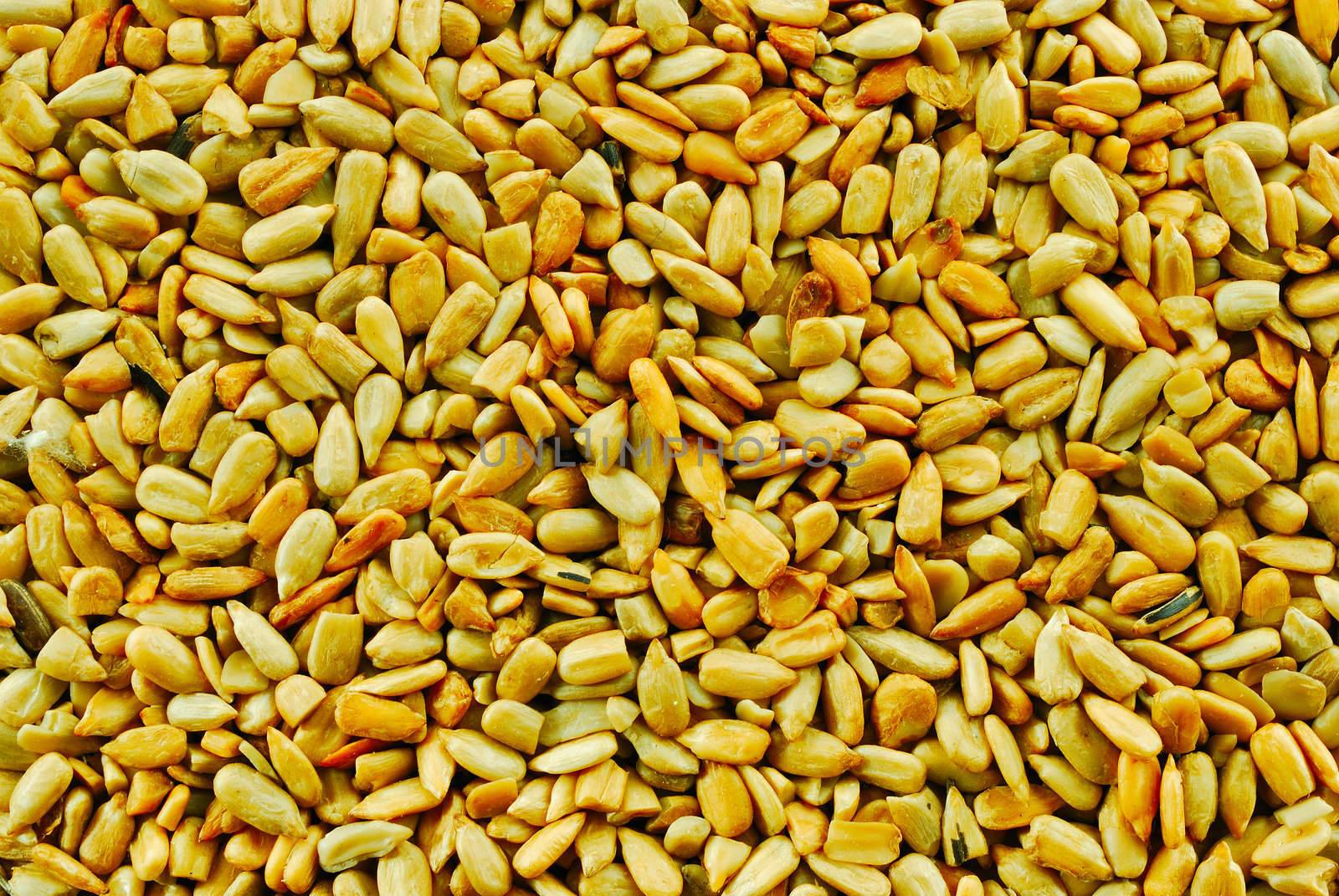 vegetable background from the cleared seeds of sunflower