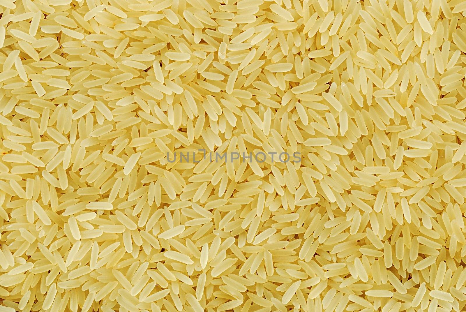 texture from grains of rice, closeup background