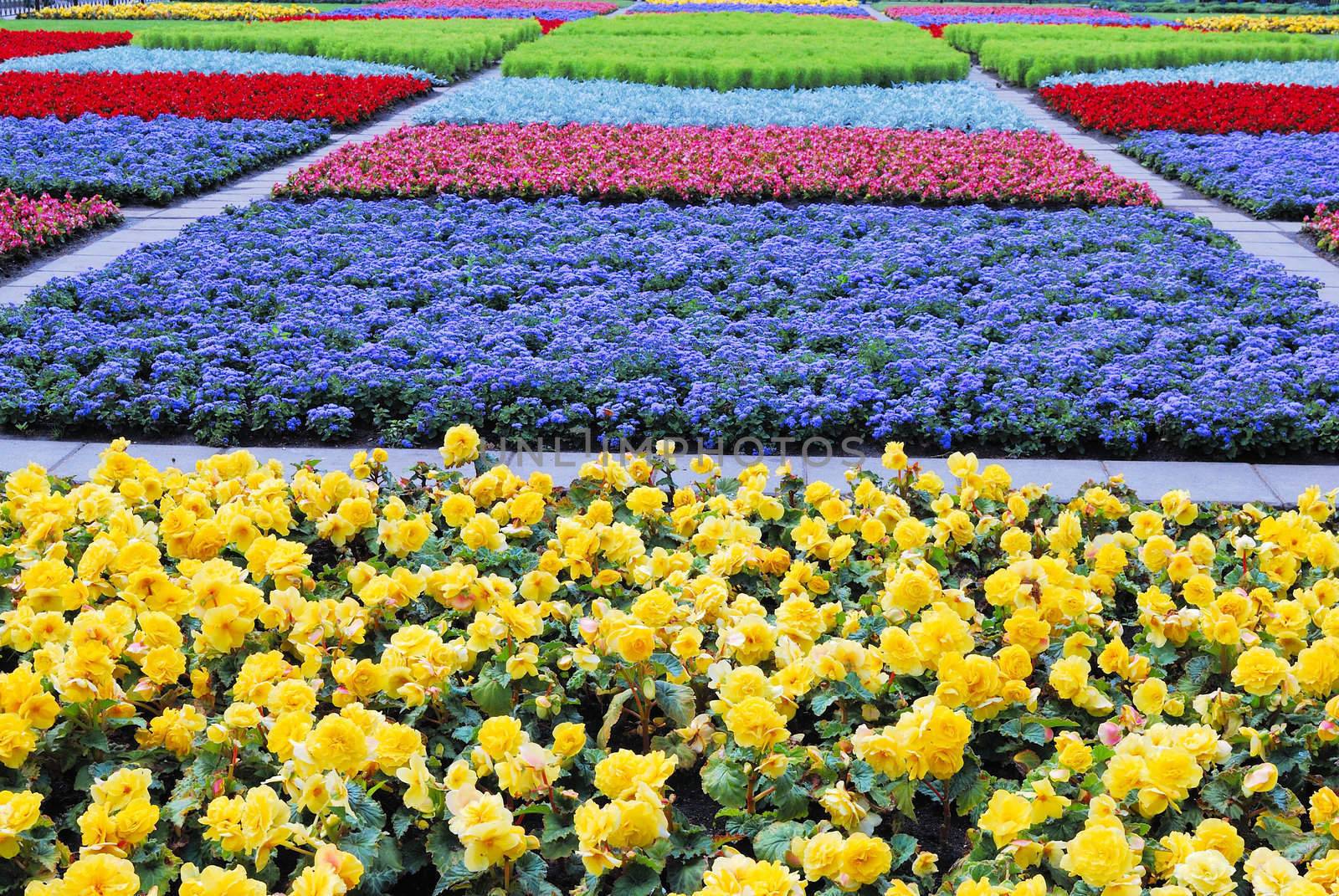 Green, blue and yellow vegetative background without focus objects 